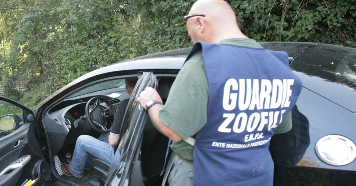Lotta al rifiuto selvaggio Guardie zoofile in campo - Il Giornale di Vicenza