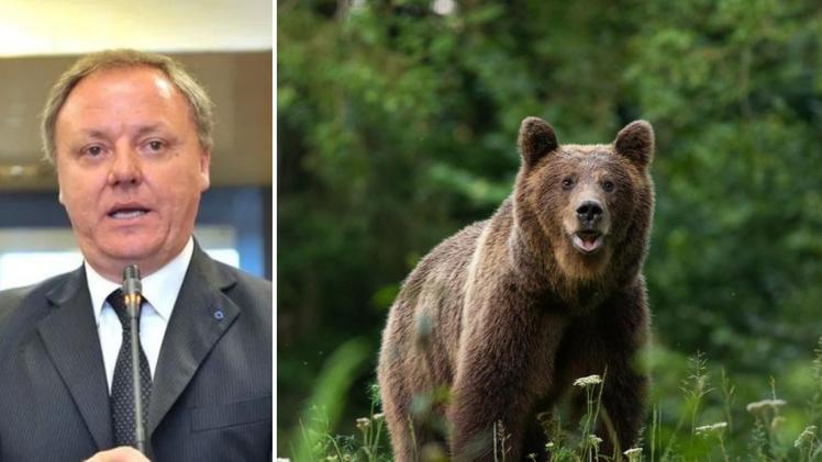 L’europarlamentare Sergio Berlato non ha usato mezzi termini all’incontro dedicato alla gestione dei grandi carnivori