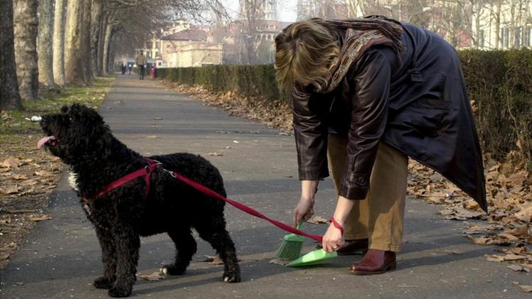 Il Comune ha sospeso, fino a giugno, l’ordinanza che impone di pulire la pipì dei cani