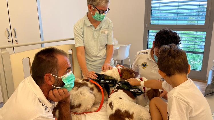 I cagnolini di For A Smile tornano a regalare sorrisi ai bambini degli ospedali di Santorso e Bassano del Grappa