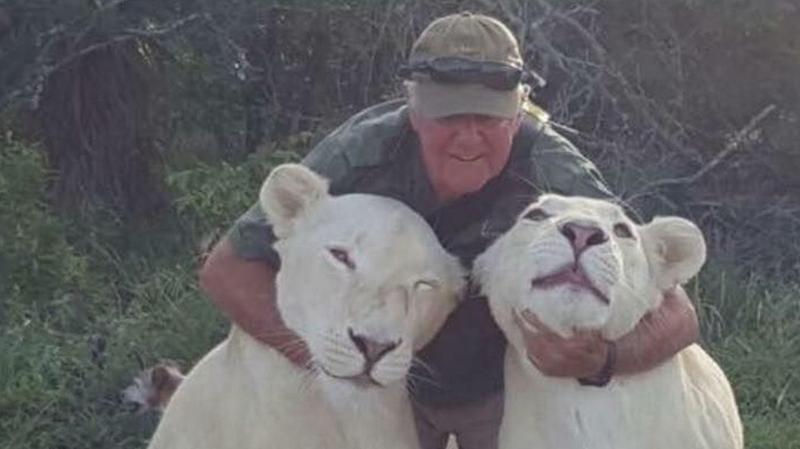 Famoso ambientalista ucciso dalle sue leonesse bianche in Sudafrica | Mondo