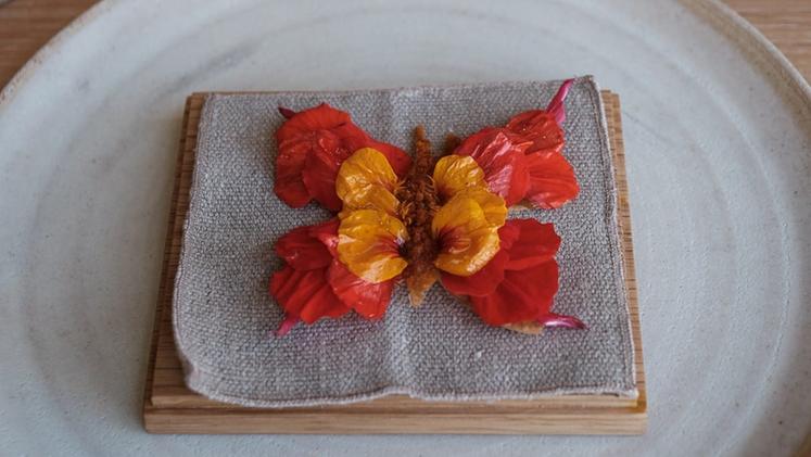 Il piatto più instagrammato del Noma: cracker di malto, pesto di erbe, faggio alla rosa, formiche, fiori di nasturzio e polline