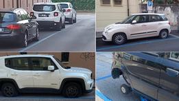 Alcune delle auto danneggiate in via Sarpi a Vicenza