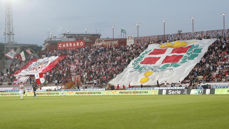 Vicenza-Cosenza, i tifosi biancorossi al Menti (Foto STUDIO STELLA)