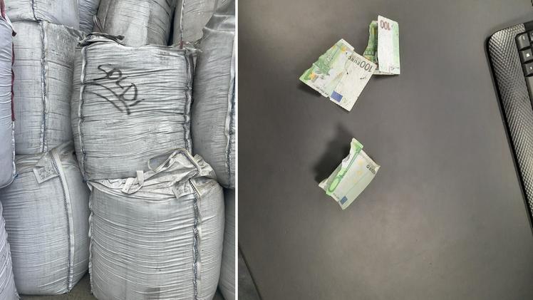 Il sacco contenente i resti dei soldi distrutti, praticamente coriandoli (Foto CAVEDAGNA)
