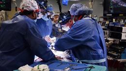 L'ospedale di San Donà protagonista della corsa contro il tempo per consentire i trapianti di organi