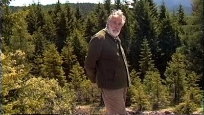 Lo scrittore Mario Rigoni Stern nei suoi boschi (Foto archivio GdV)
