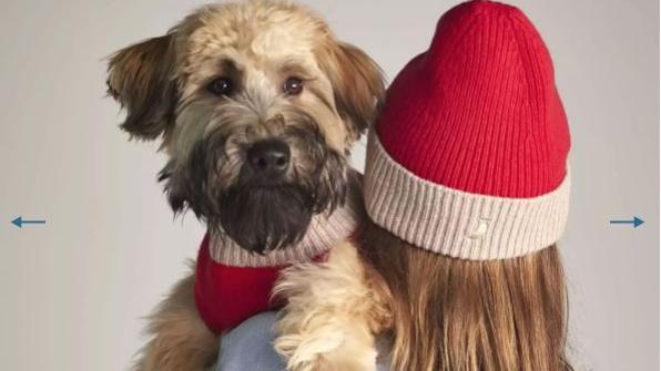 Painter’s Wife propone un progetto lifestyle cane-padrone: maglioncino per lui, cappellino per il suo "umano"