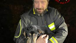 Un vigile del fuoco con il cagnolino portato in salvo a Chiampo