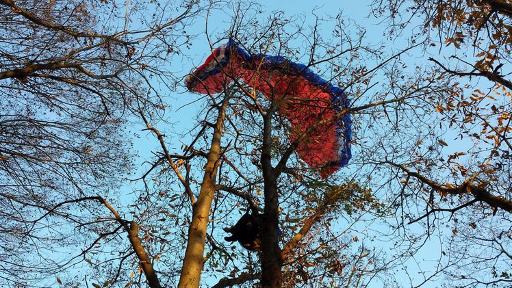 Un parapendio "atterrato" su un albero in una foto d'archivio