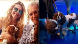 Francesca Fagnani ed Enrico Mentana con i loro due cani di razza King Cavalier (foto Instagram)